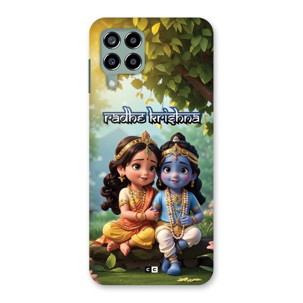Hare Radhe Krishna Back Case for Galaxy M33
