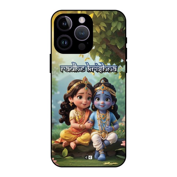 Hare Radhe Krishna Metal Back Case for iPhone 14 Pro Max