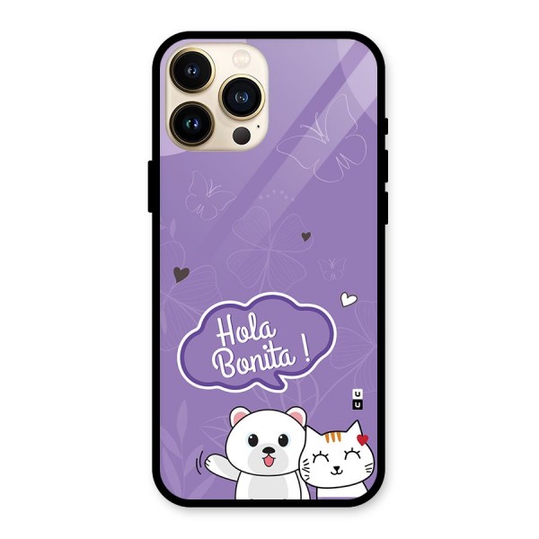 Hola Bonita Glass Back Case for iPhone 13 Pro Max