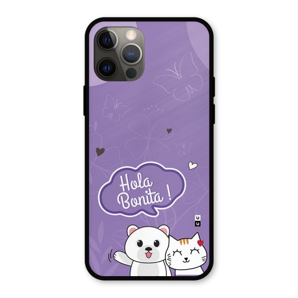 Hola Bonita Metal Back Case for iPhone 12 Pro