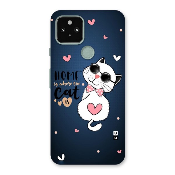 Home Where Cat Back Case for Google Pixel 5