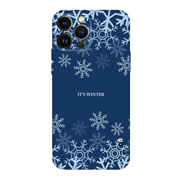 Its Winter Back Case for iPhone 13 Pro Max
