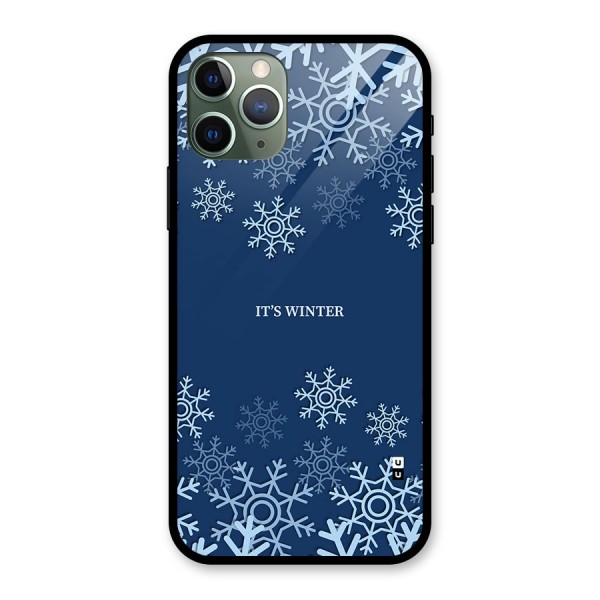 Its Winter Glass Back Case for iPhone 11 Pro