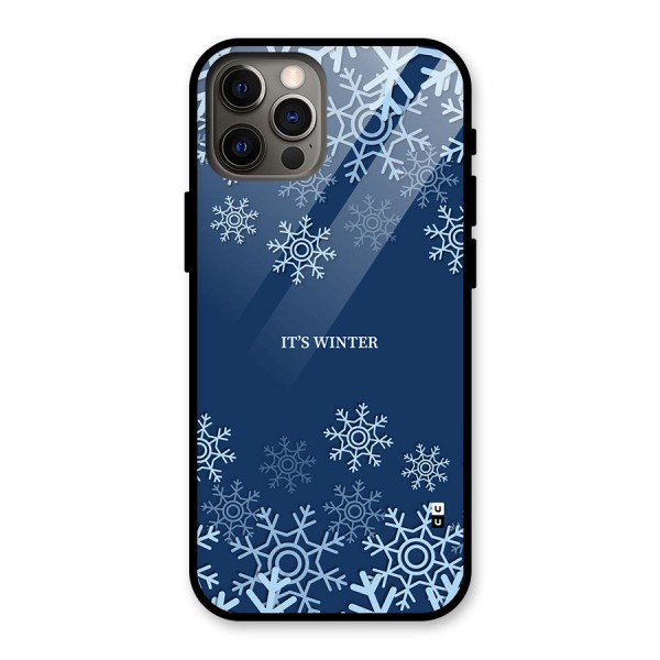 Its Winter Glass Back Case for iPhone 12 Pro