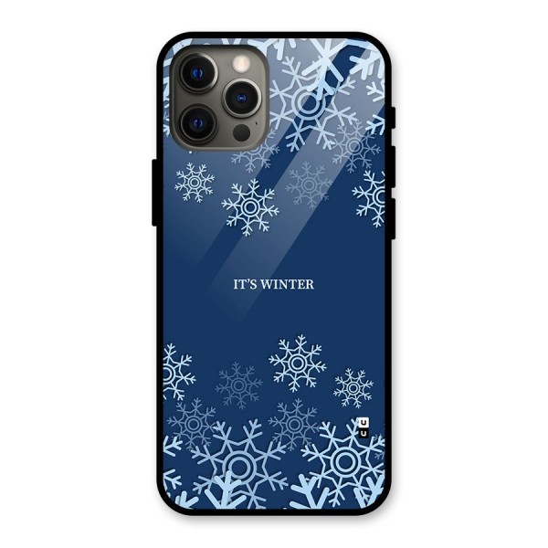 Its Winter Glass Back Case for iPhone 12 Pro Max