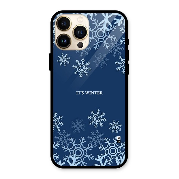 Its Winter Glass Back Case for iPhone 13 Pro Max