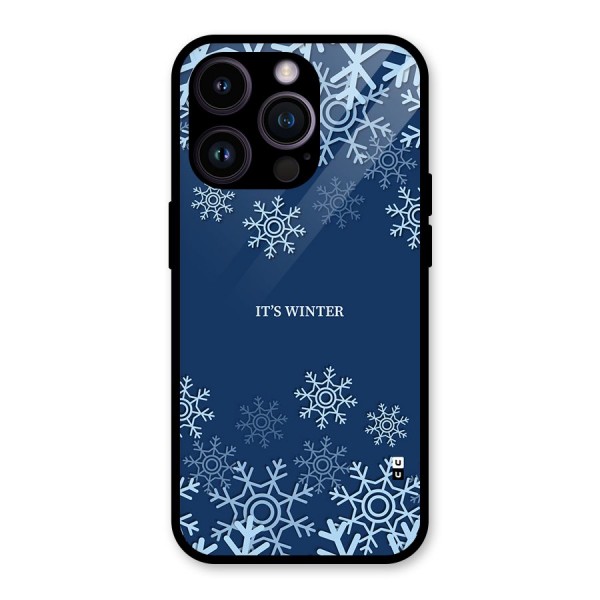 Its Winter Glass Back Case for iPhone 14 Pro
