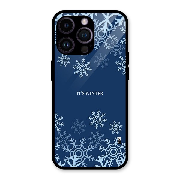 Its Winter Glass Back Case for iPhone 14 Pro Max