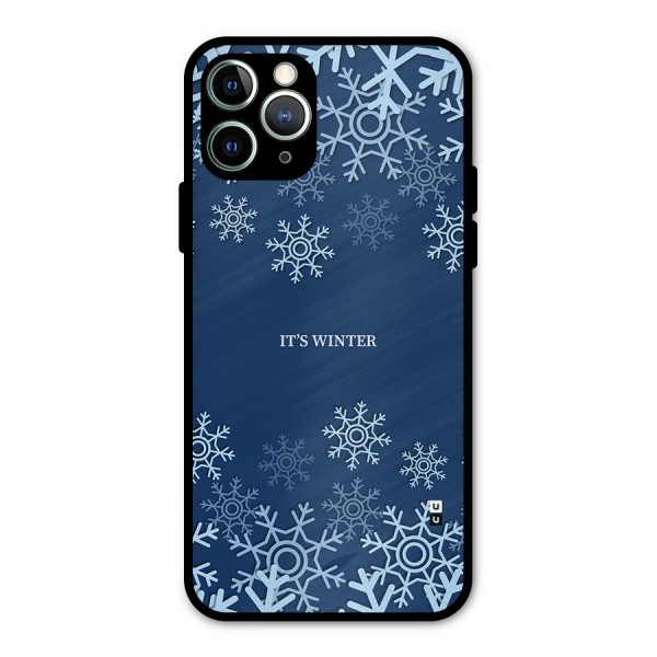 Its Winter Metal Back Case for iPhone 11 Pro Max