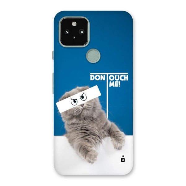 Kitty Dont Touch Back Case for Google Pixel 5