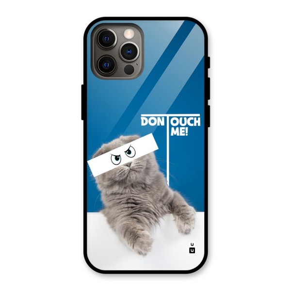 Kitty Dont Touch Glass Back Case for iPhone 12 Pro