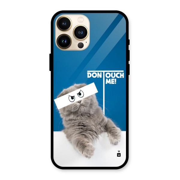 Kitty Dont Touch Glass Back Case for iPhone 13 Pro Max
