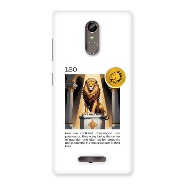 Leader Leo Back Case for Gionee S6s