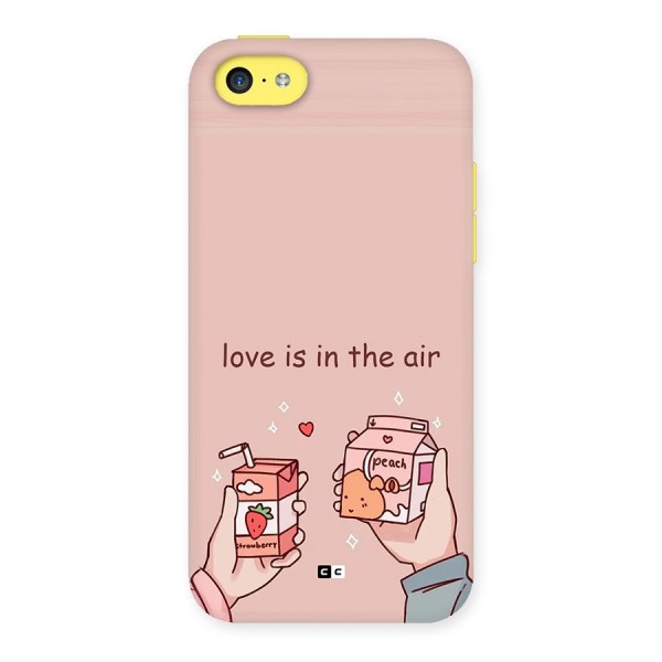 Love In Air Back Case for iPhone 5C