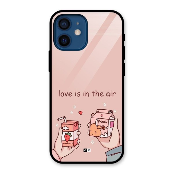 Love In Air Glass Back Case for iPhone 12 Mini