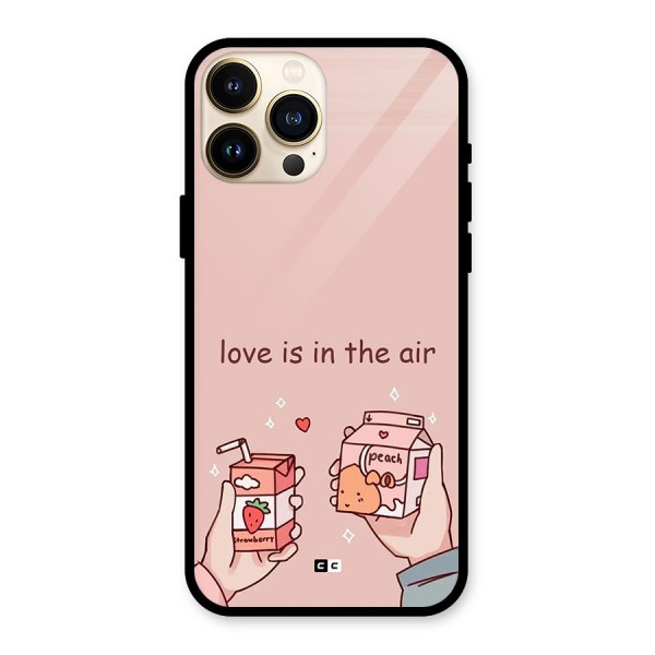 Love In Air Glass Back Case for iPhone 13 Pro Max