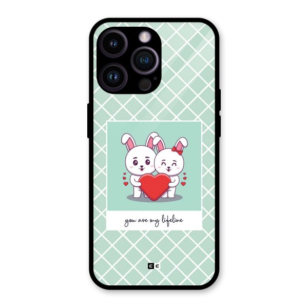 Love Lifeline Glass Back Case for iPhone 14 Pro Max