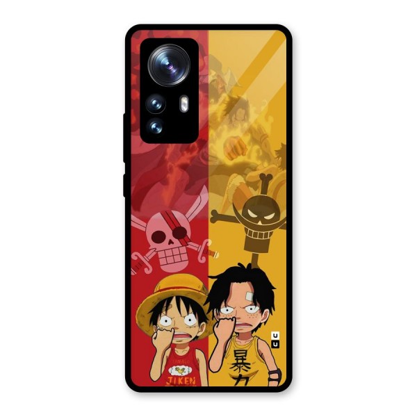 Luffy And Ace Glass Back Case for Xiaomi 12 Pro