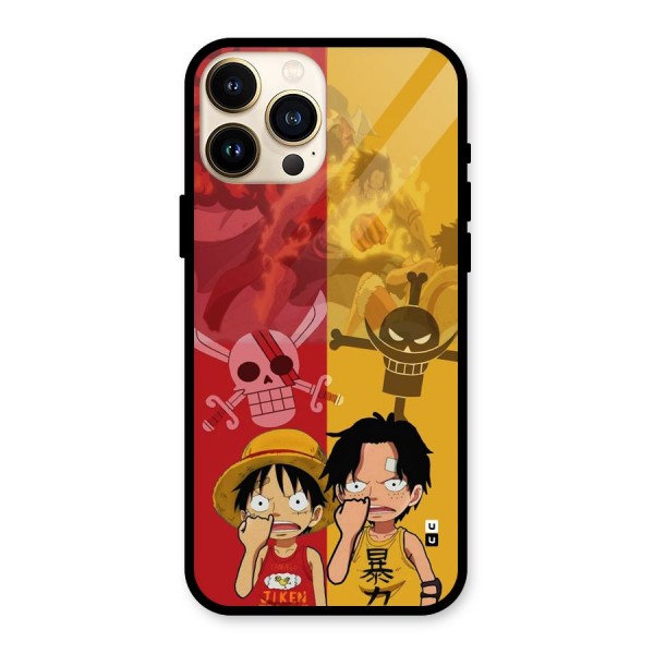 Luffy And Ace Glass Back Case for iPhone 13 Pro Max