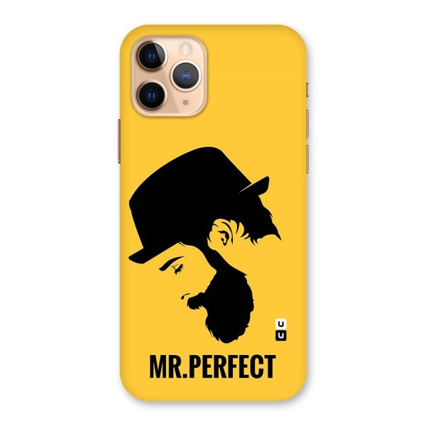 Mr Perfect Back Case for iPhone 11 Pro
