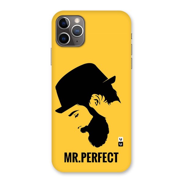 Mr Perfect Back Case for iPhone 11 Pro Max