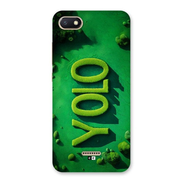 Nature Yolo Back Case for Redmi 6A