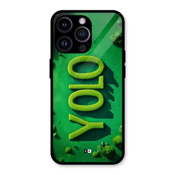 Nature Yolo Glass Back Case for iPhone 14 Pro Max