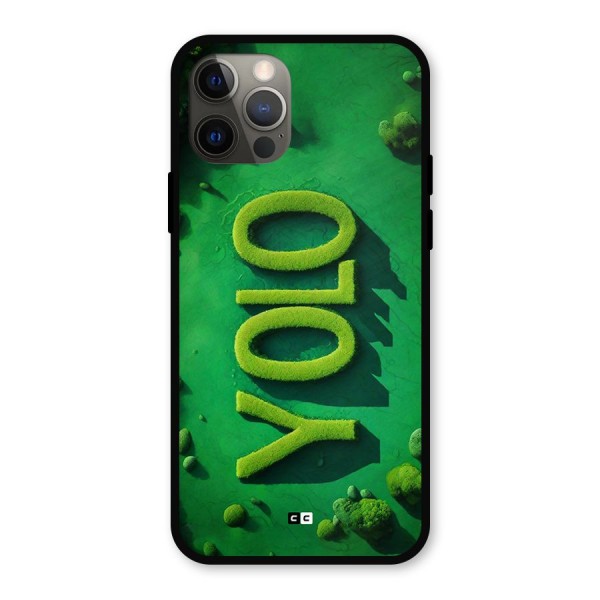 Nature Yolo Metal Back Case for iPhone 12 Pro