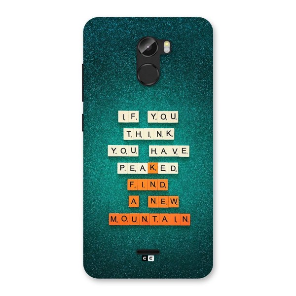 New Mountain Back Case for Gionee X1