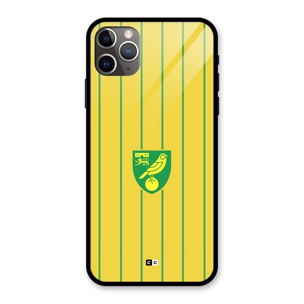 Norwich City Glass Back Case for iPhone 11 Pro Max