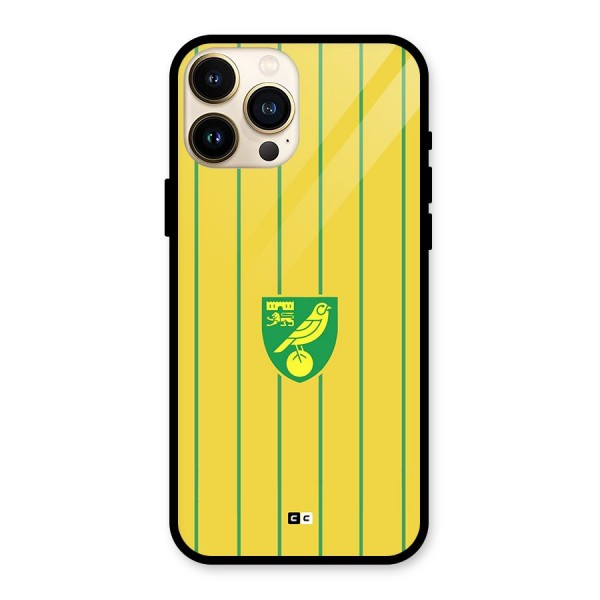 Norwich City Glass Back Case for iPhone 13 Pro Max
