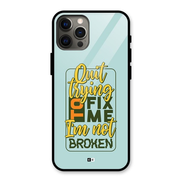 Not Broken Glass Back Case for iPhone 12 Pro Max