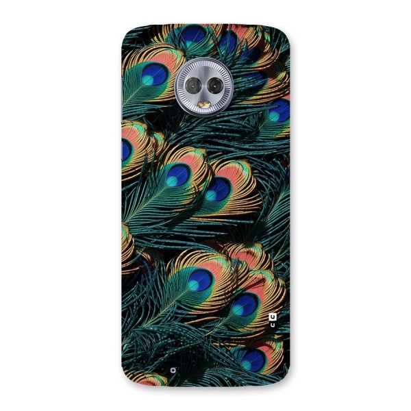 Peacock Feather Art Back Case for Moto G6