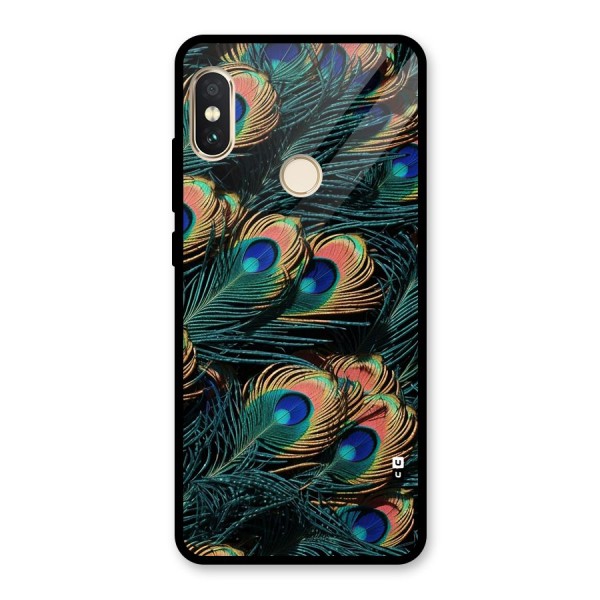 Peacock Feather Art Glass Back Case for Redmi Note 5 Pro