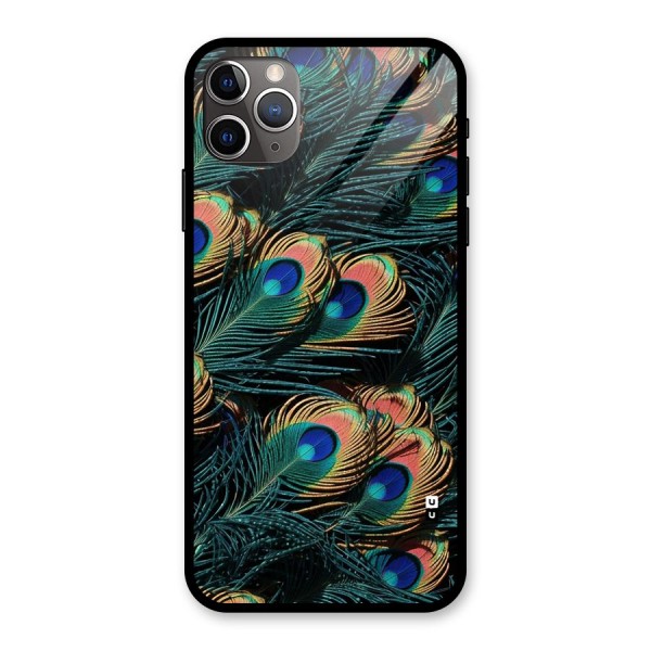 Peacock Feather Art Glass Back Case for iPhone 11 Pro Max