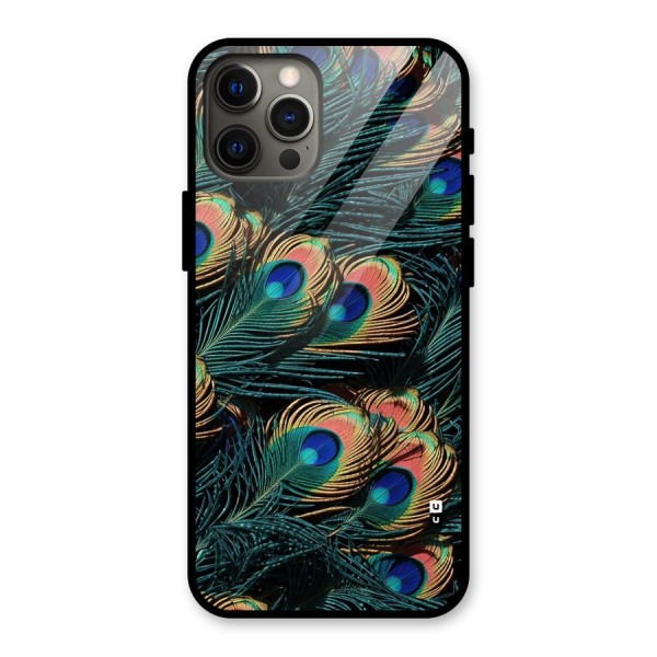 Peacock Feather Art Glass Back Case for iPhone 12 Pro Max