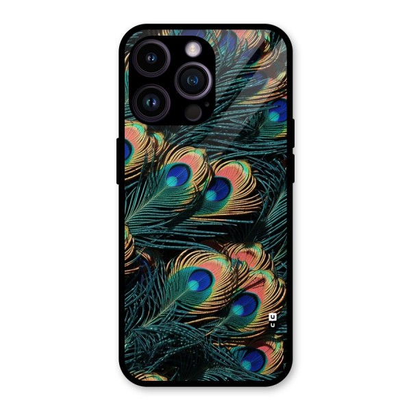Peacock Feather Art Glass Back Case for iPhone 14 Pro Max
