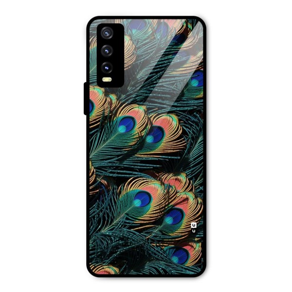 Peacock Feather Art Metal Back Case for Vivo Y20i