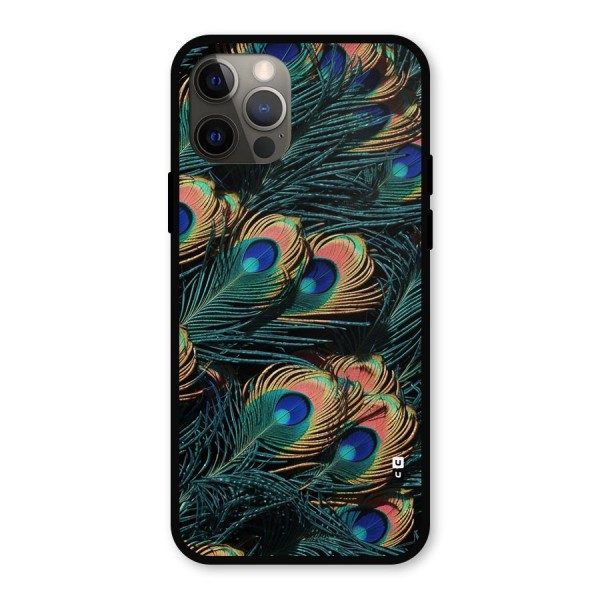 Peacock Feather Art Metal Back Case for iPhone 12 Pro