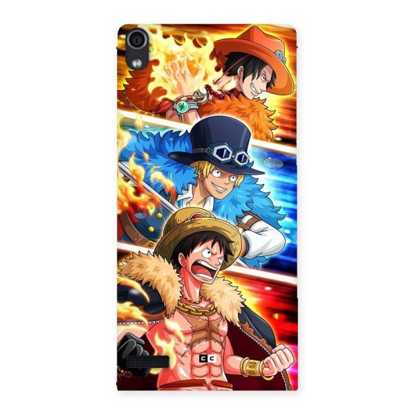 Pirate Brothers Back Case for Ascend P6