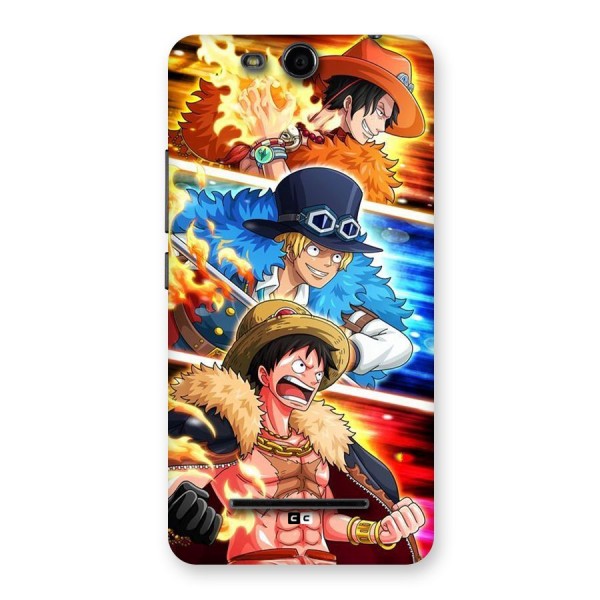 Pirate Brothers Back Case for Canvas Juice 3 Q392