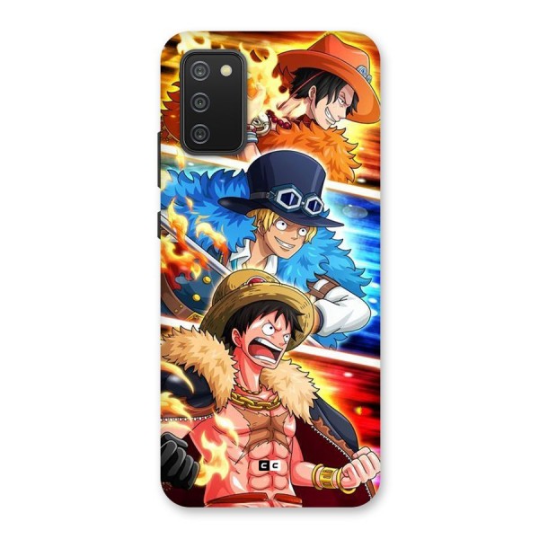 Pirate Brothers Back Case for Galaxy F02s
