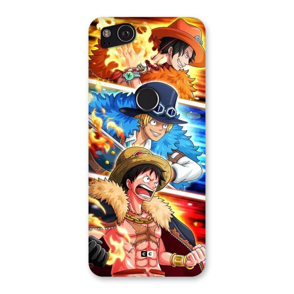 Pirate Brothers Back Case for Google Pixel 2