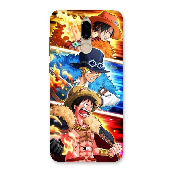 Pirate Brothers Back Case for Honor 9i