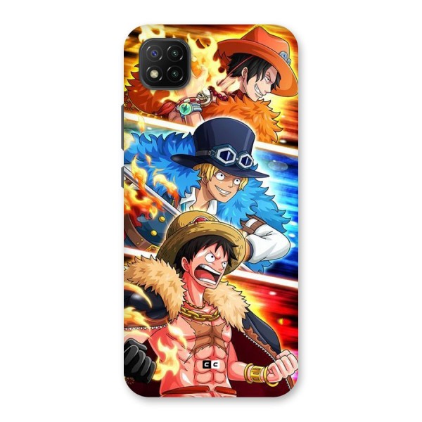 Pirate Brothers Back Case for Poco C3
