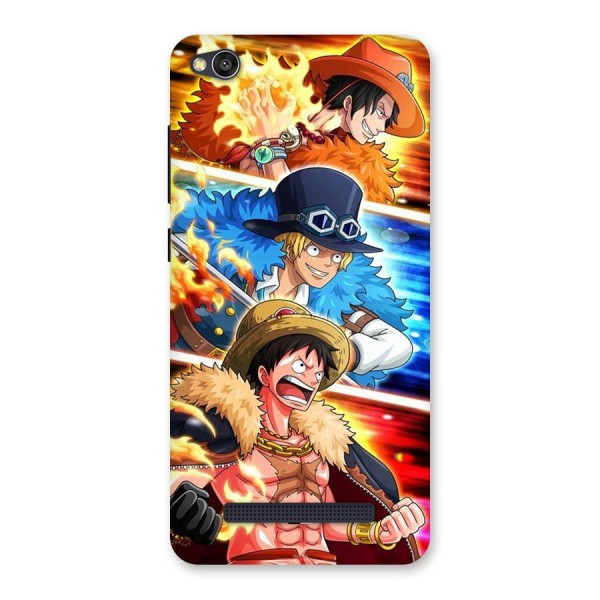 Pirate Brothers Back Case for Redmi 4A