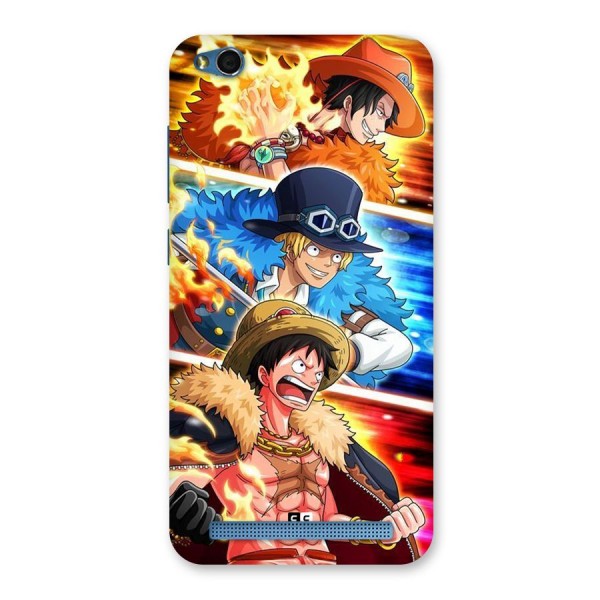 Pirate Brothers Back Case for Redmi 5A