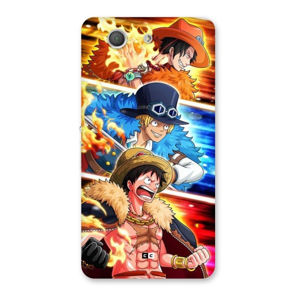 Pirate Brothers Back Case for Xperia Z3 Compact