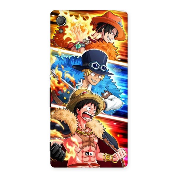 Pirate Brothers Back Case for Xperia Z3 Plus