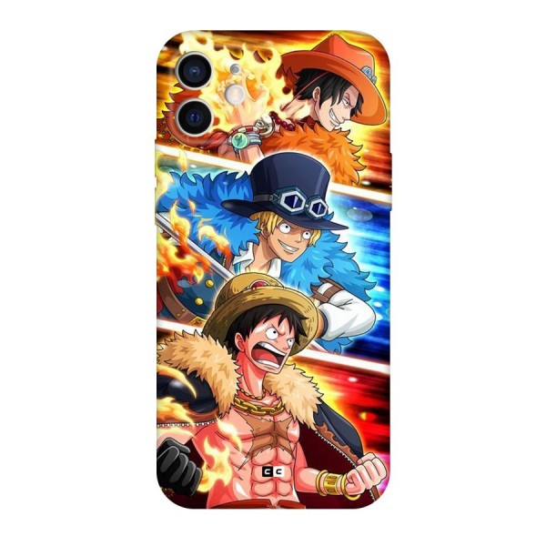 Pirate Brothers Back Case for iPhone 12